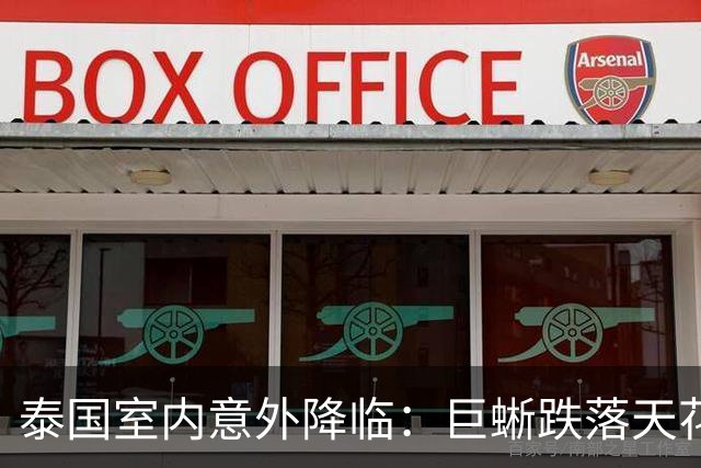 泰国室内意外降临：巨蜥跌落天花板事件引发热议